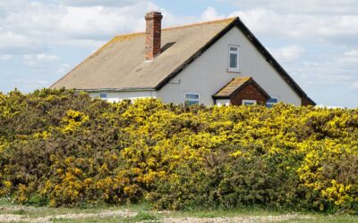 Welke stappen moet je zetten als je je woning verzekeren wilt?